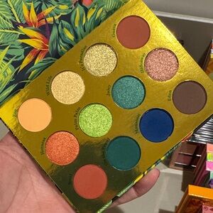 Colourpop Lush Life Palette